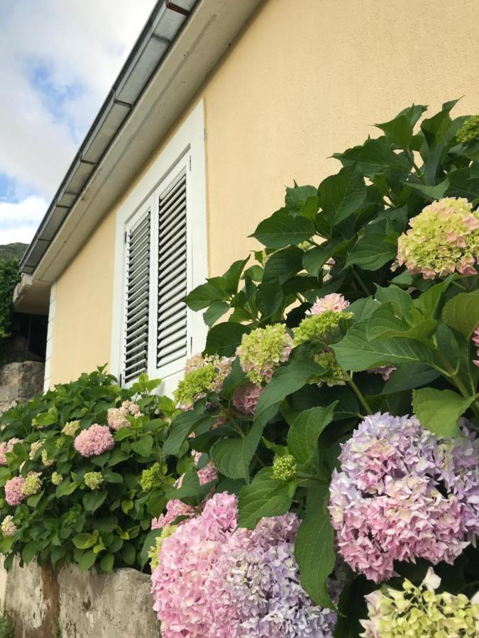 Etno village Mihailovic Herceg Novi Esterno foto