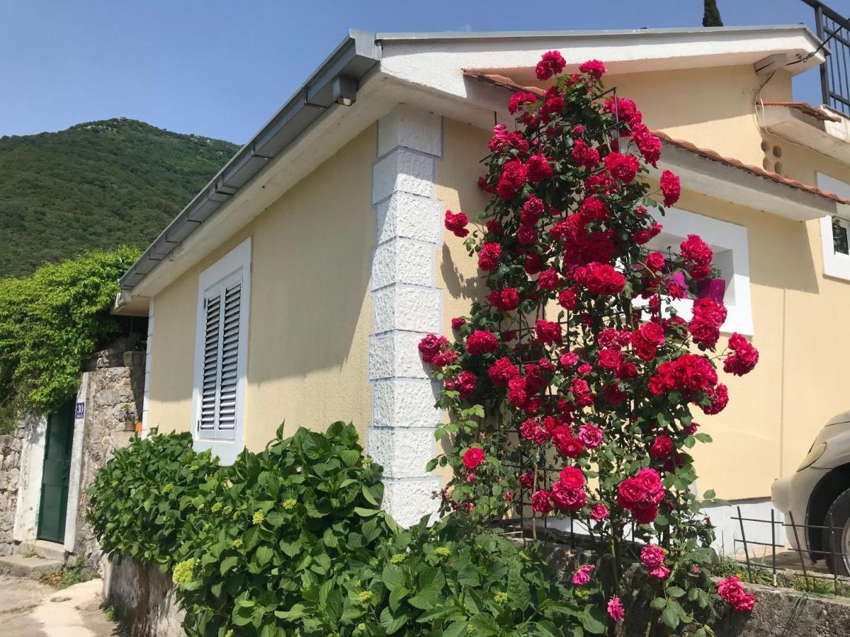 Etno village Mihailovic Herceg Novi Esterno foto