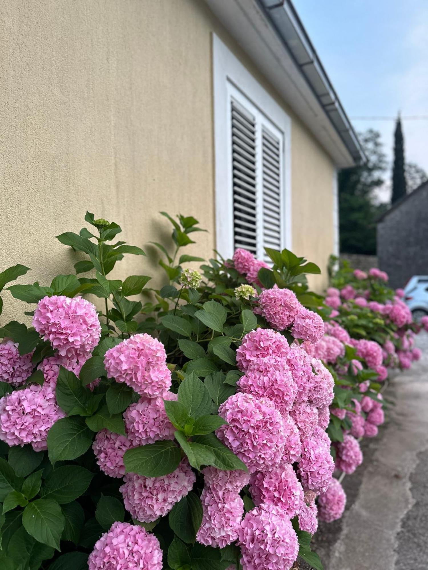 Etno village Mihailovic Herceg Novi Esterno foto